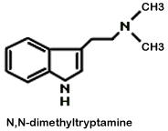 DMT